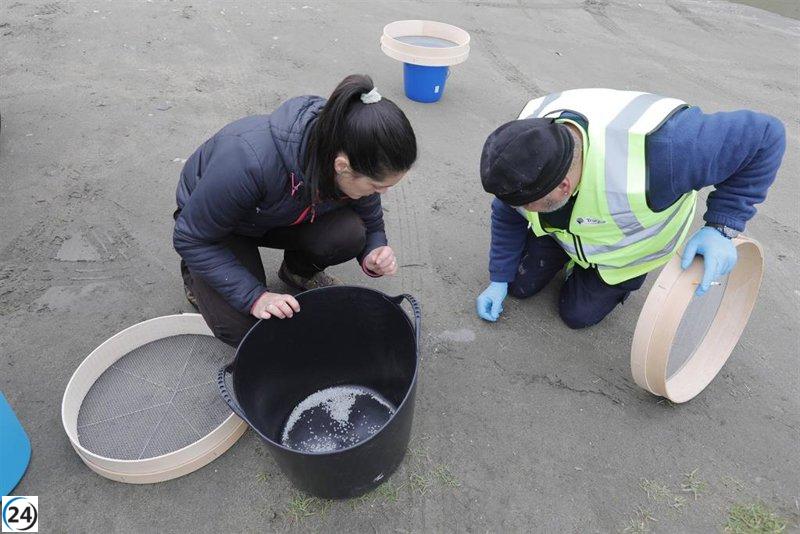 Asturias garantiza recogida eficiente de pellets con brigadas y contenedores distribuidos estratégicamente