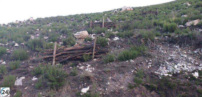 Principado y Gobierno se unen para rehabilitar zonas afectadas por incendios en Redes y Ponga.