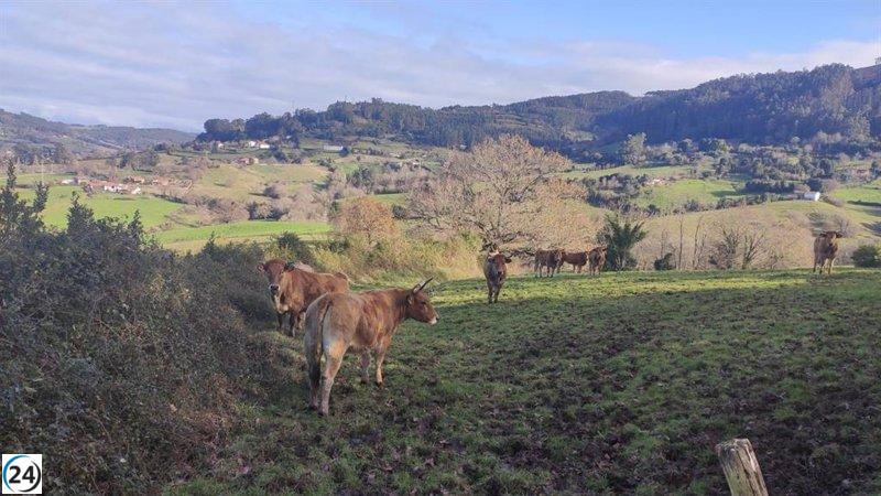 El Gobierno destina 22,7 millones para la transición digital en el sector agroalimentario.
