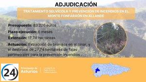 El Principado destina más de 83.000 euros para tratar el monte Fonfaraón.