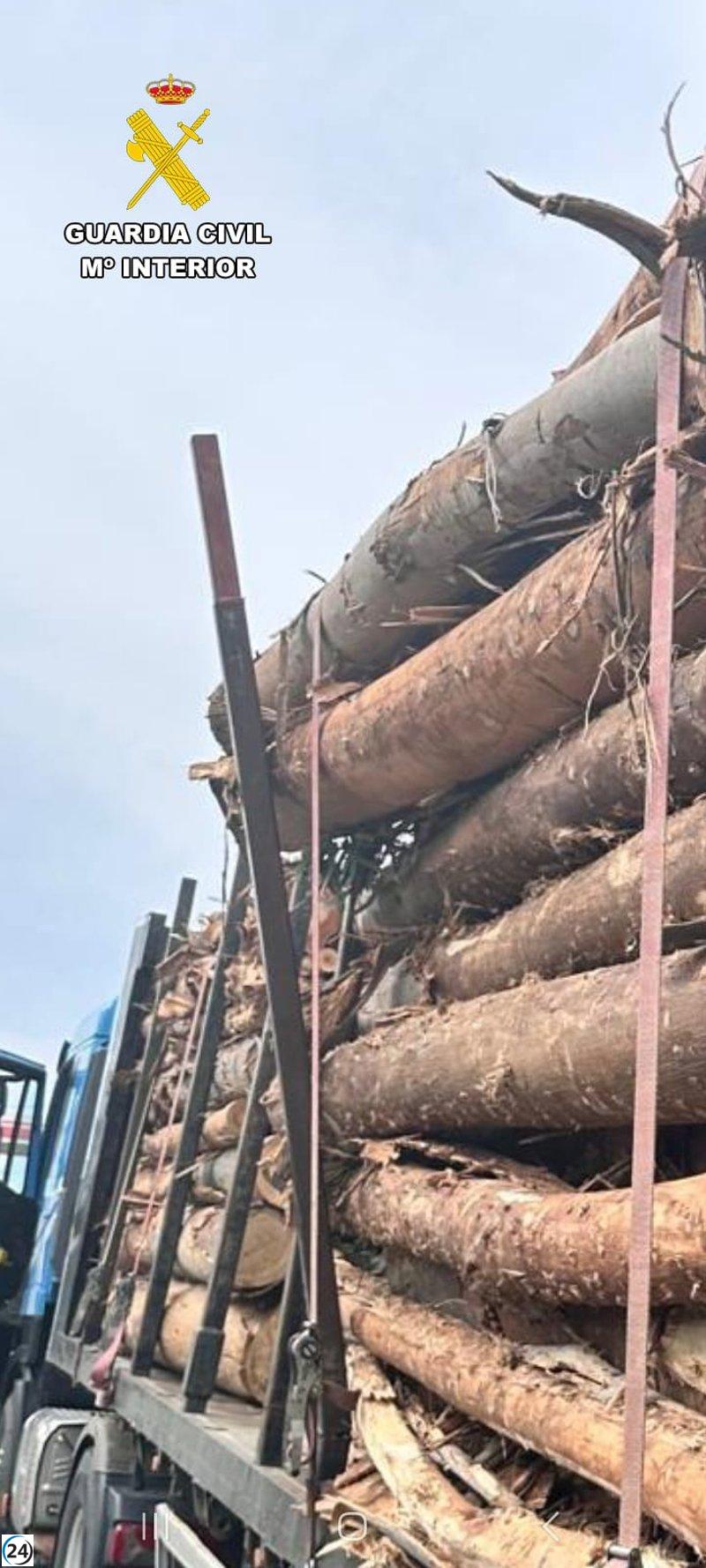 Camión interceptado en la A-8 con carga de madera sin asegurar.