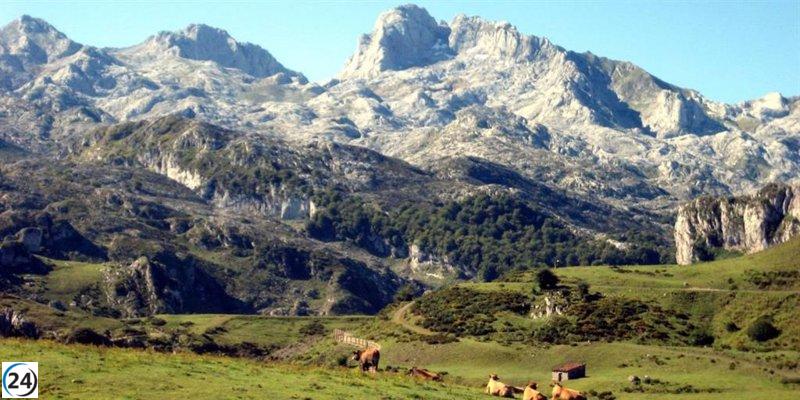 CSIF alerta sobre la falta de vigilancia en el medio natural.