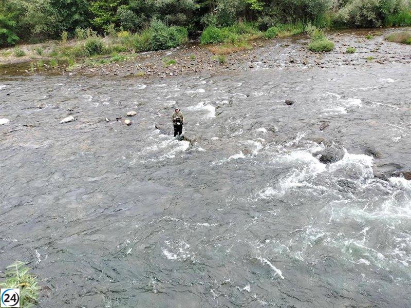 Ecologistas culpan al Principado por declive del salmón