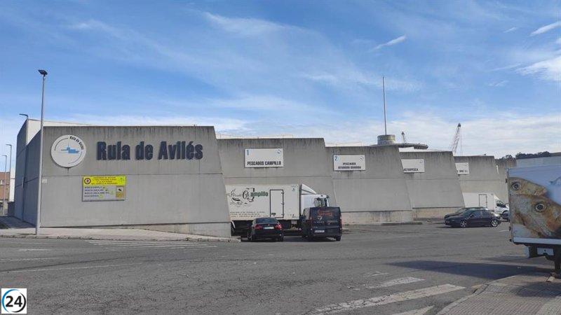Gran cantidad de bonito subastado en la Rula de Avilés antes del cierre de la temporada.