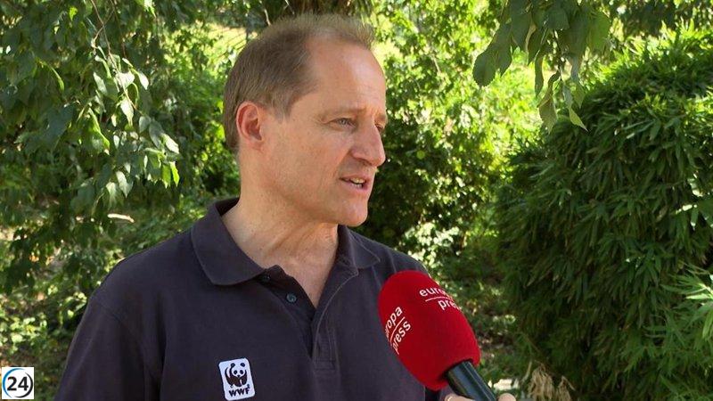 Asturias debe reforzar la defensa del lobo, señala WWC.