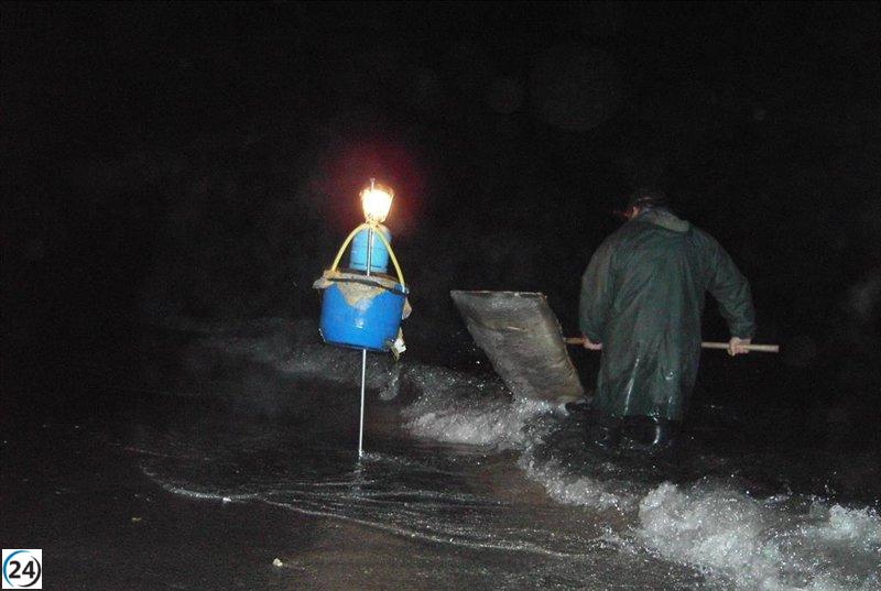 Ecologistas exigen suspensión de la pesca de angulas para la próxima temporada.