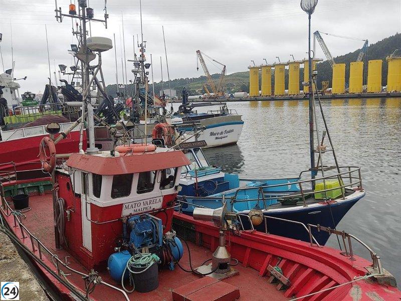 Avilés impulsa el consumo de merluza europea en un debate clave.