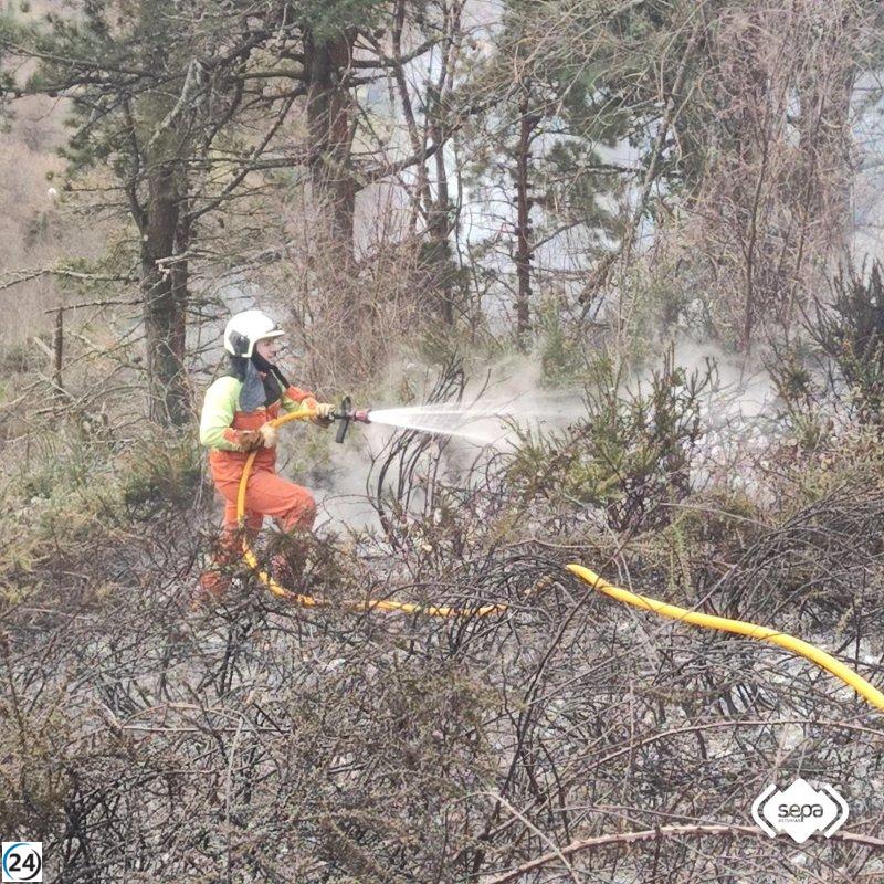 El Parlamento aprueba medidas urgentes contra incendios forestales a instancias de Tomé.