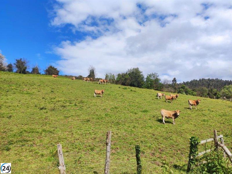 El Gobierno asigna 9,5 millones de euros a Asturias para impulsar el desarrollo rural.