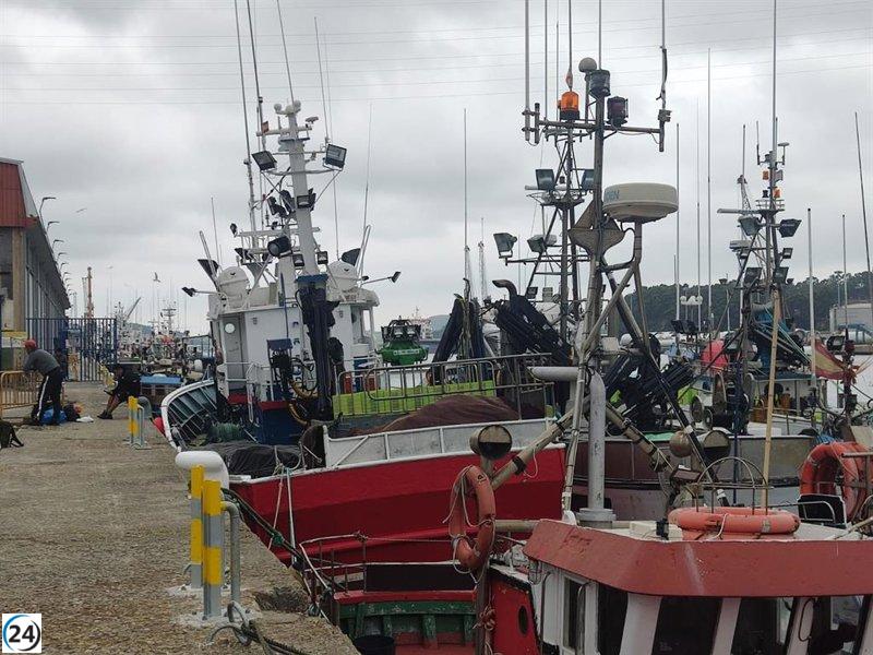 Los primeros bonitos del Norte ya están en la Rula de Avilés.