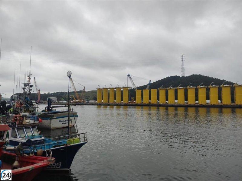 Se subasta en Avilés el primer bonito del norte a 120,2 euros el kilo.