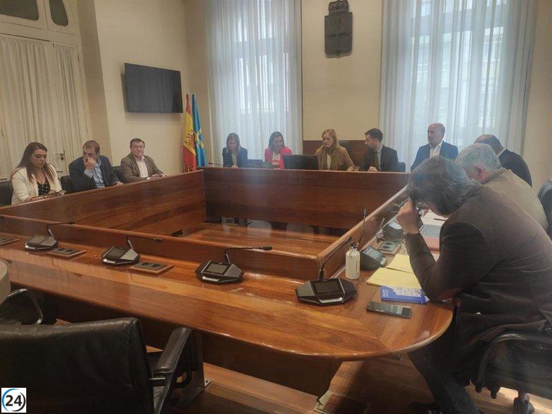 La comisión del Parlamento evalúa su estrategia para investigar el accidente de Cerredo.