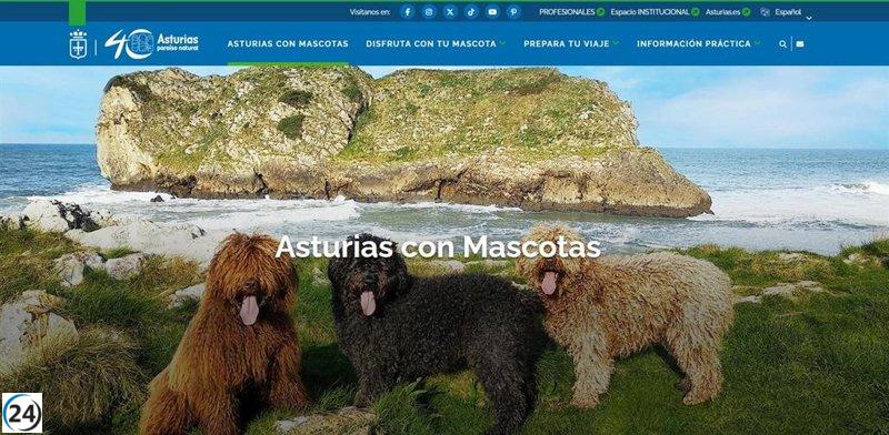 Nuevo portal turístico ofrece más de 300 servicios especializados para viajeros con mascotas.