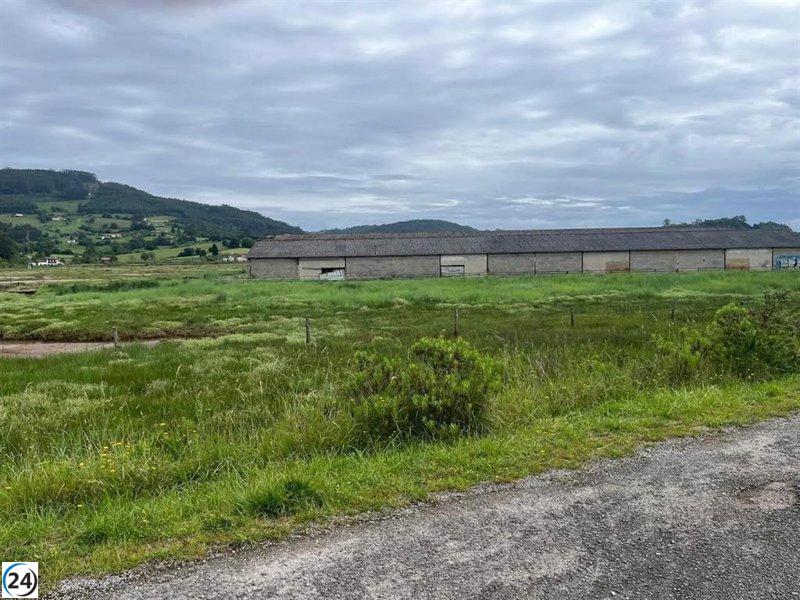 Ecologistas denuncian un vertedero de coches en la reserva de la Ría de Villaviciosa.