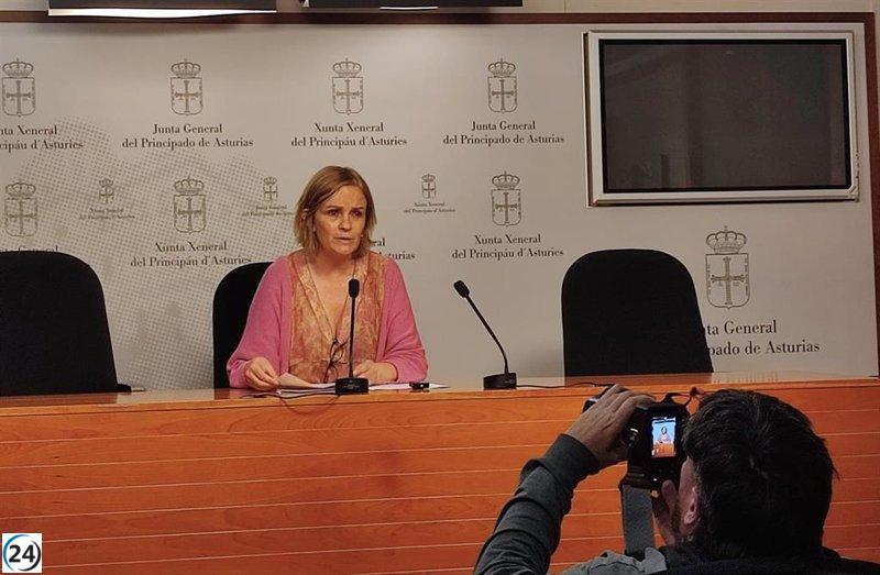 Tomé (G. Mixto) alerta sobre las largas esperas para obtener ayuda en Asturias.