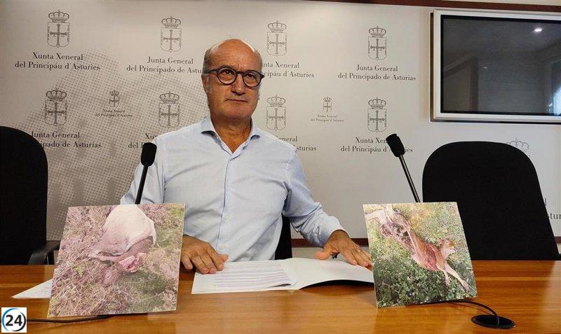 El PP reclama al Principado que responda sobre la caza tras el recurso del Defensor del Pueblo en Asturias.