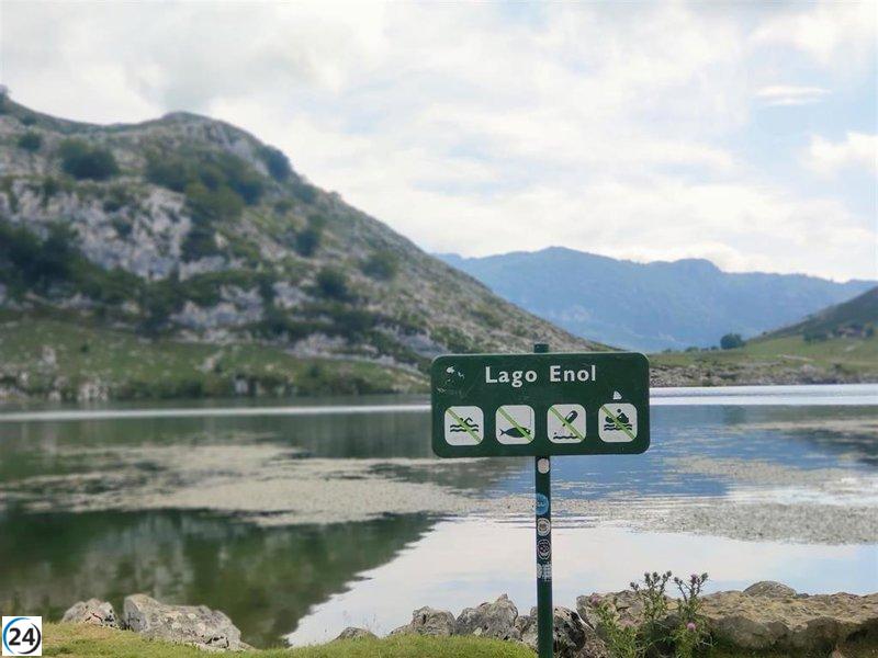 Asturias iniciará la restauración ecológica de los Lagos de Covadonga en los Picos de Europa.