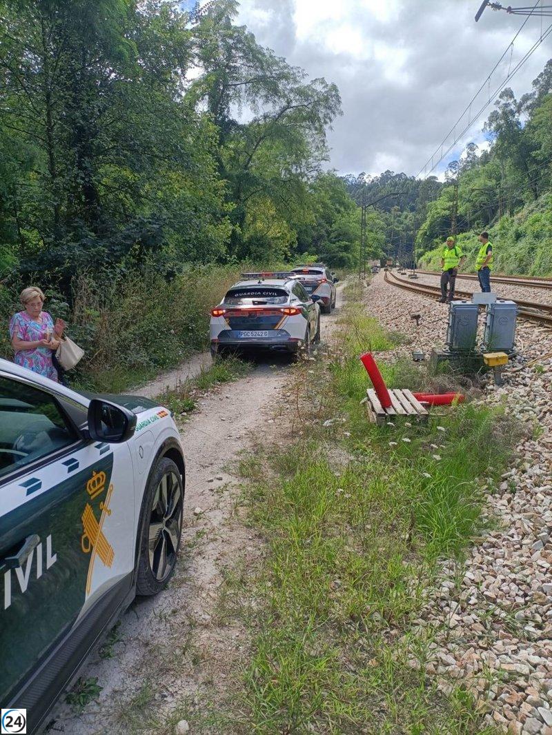 Servicio interrumpido entre Gijón y El Berrón por fallo en tren de cercanías.