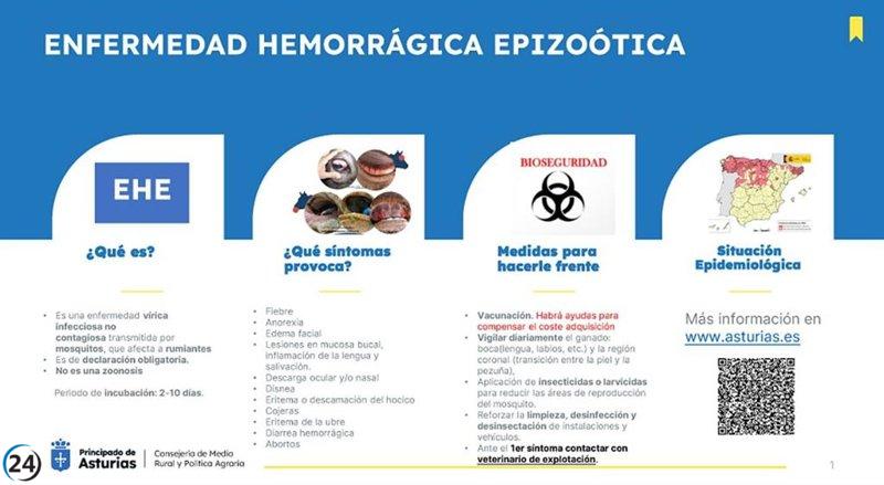 Asturias solicita reforzar la bioseguridad en granjas por brotes de enfermedades vectoriales en otras regiones.