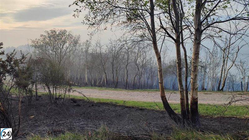 Sindicatos advierten sobre el caos en la gestión de las brigadas contra incendios.