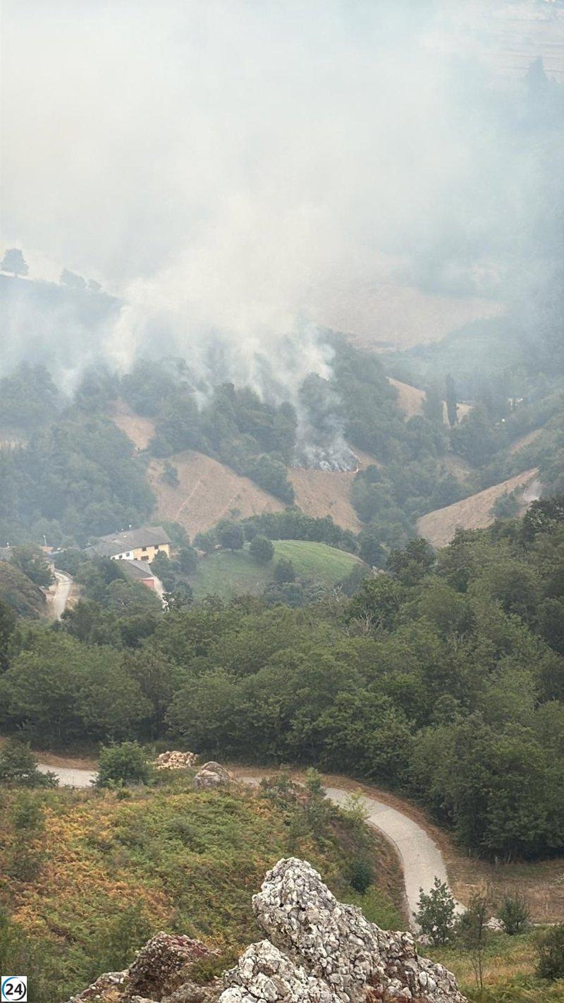 Cangas del Narcea exhorta a la ciudadanía a acatar las directrices por el avance del incendio en Fonceca y El Acebo.