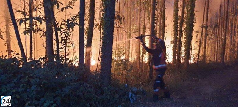 Asturias lidia con 12 incendios forestales este domingo, 6 continúan activos.