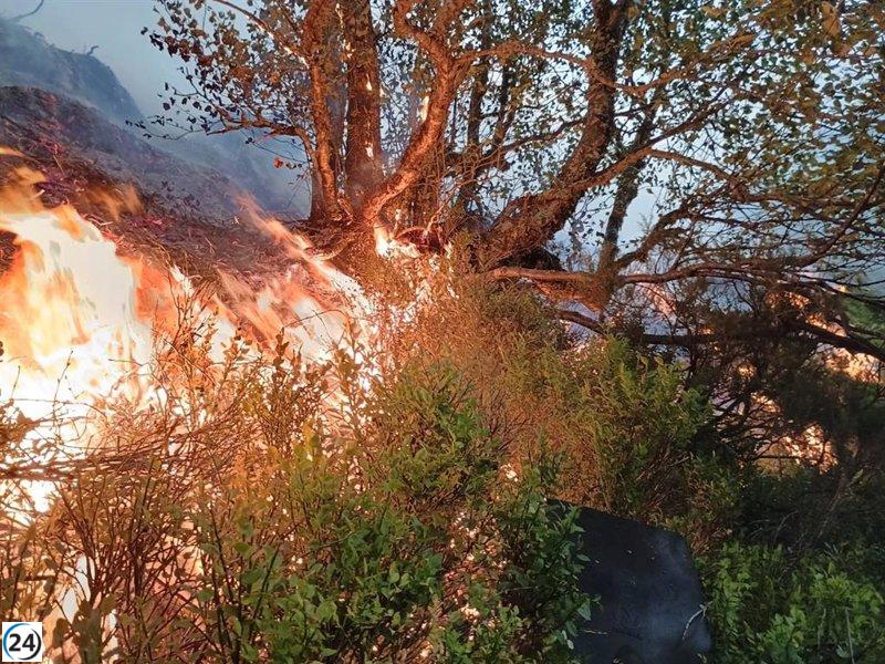 Ecologistas exigen restricciones en terrenos quemados y rechazan ayudas de la PAC.