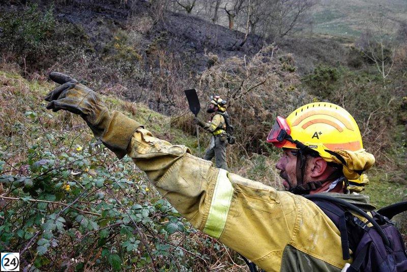 Asturias reporta 17 incendios forestales: 8 activos, 8 controlados y 1 estabilizado.