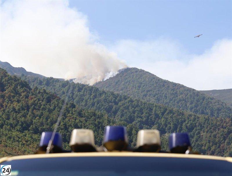 Tres incendios forestales afectan a Asturias este sábado.