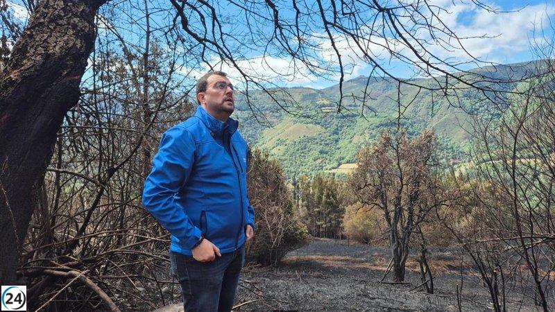 Barbón insiste en la cautela ante incendios forestales: “Continuamos enfriando el área afectada”.