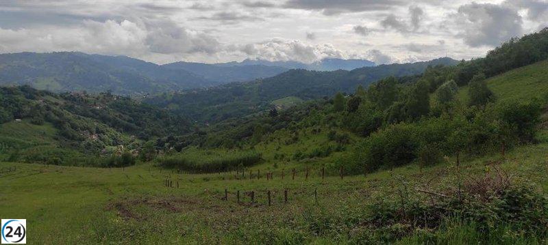 Inician pruebas de manejo sostenible en minas para combatir el cambio climático.