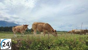 Asturias invierte 11,4 millones en nuevas ayudas Leader para el desarrollo rural.