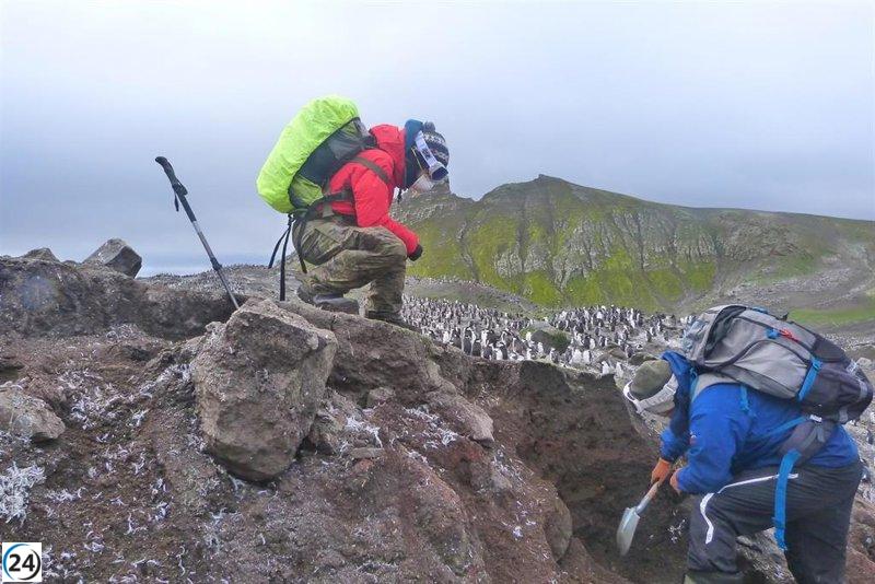 Estudio revela que los pingüinos propagan la contaminación en la Antártida.