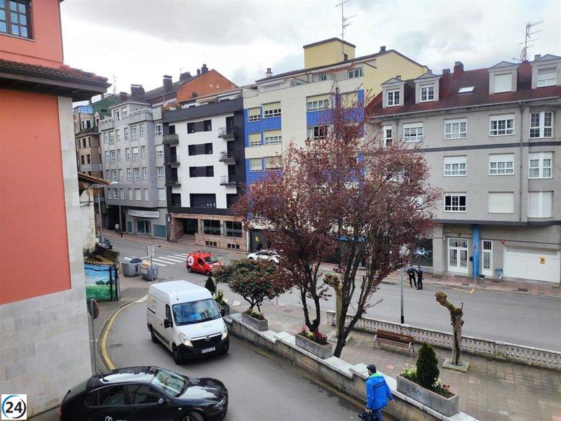 Mieres urge al Ministerio de Transportes a acelerar la finalización de las pantallas antirruido.