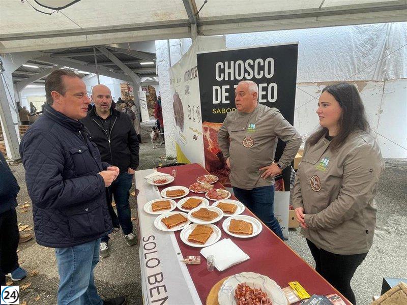 Tineo alcanza en 2024 más de 74.000 kilos de chosco con denominación de origen.