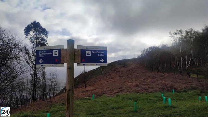 Llaneza (PSOE) demanda seguridad en la conservación de los senderos mejorados por el Plan de Empleo 2025.