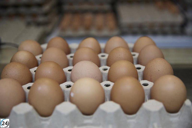 Inflación en Asturias: precios aumentan un 0,1% en noviembre, alcanzando un 3% anual.