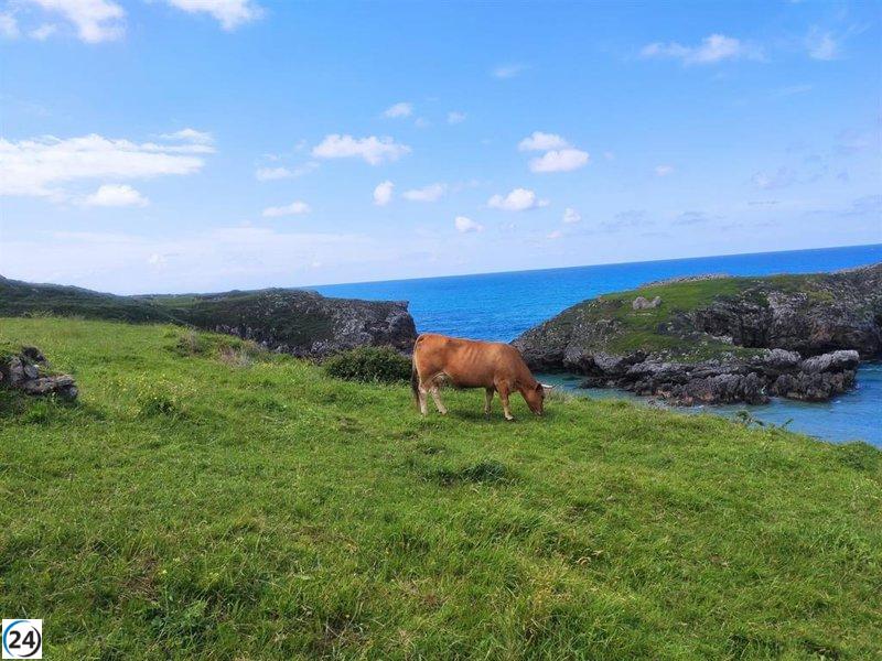 Comienza este lunes la campaña de limpieza ganadera que abarcará toda la fauna de la región.