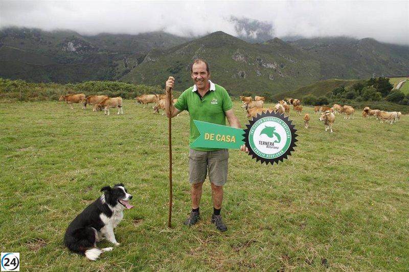 IGP Ternera Asturiana apoya a ganaderos en su lucha contra el tratado Mercosur.