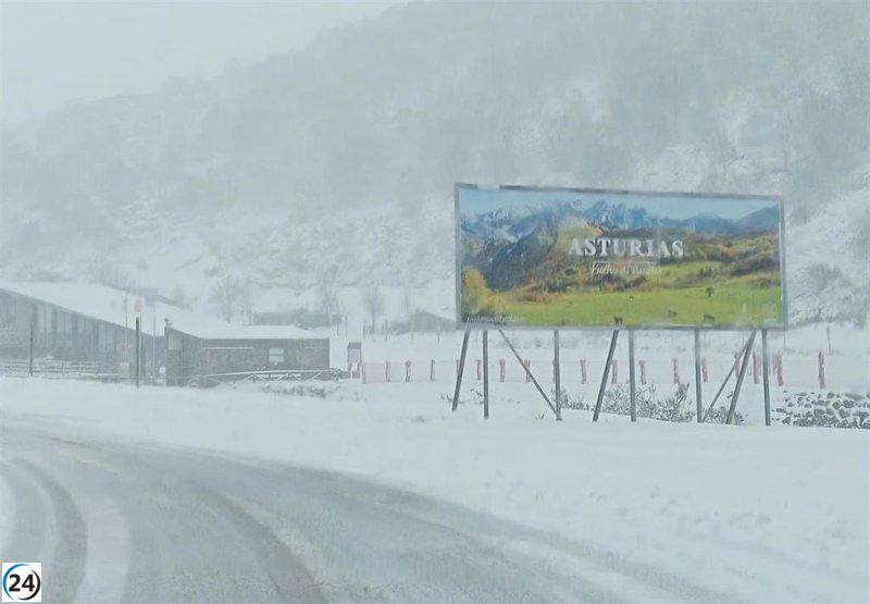 Ecologistas critican el proyecto de expansión de Fuentes de Invierno como un grave error ecológico y económico.