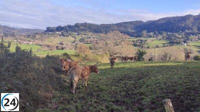Asturias registró prácticamente 920.000 pernoctaciones en hospedajes de turismo rural a lo largo de 2022