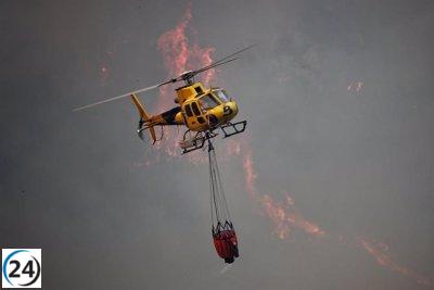 SEO/BirdLife advierte de la gravedad de la novedosa avalancha de incendios que asola Asturias