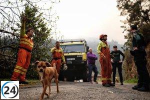 23 concejos asturianos afectados por 43 incendios forestales