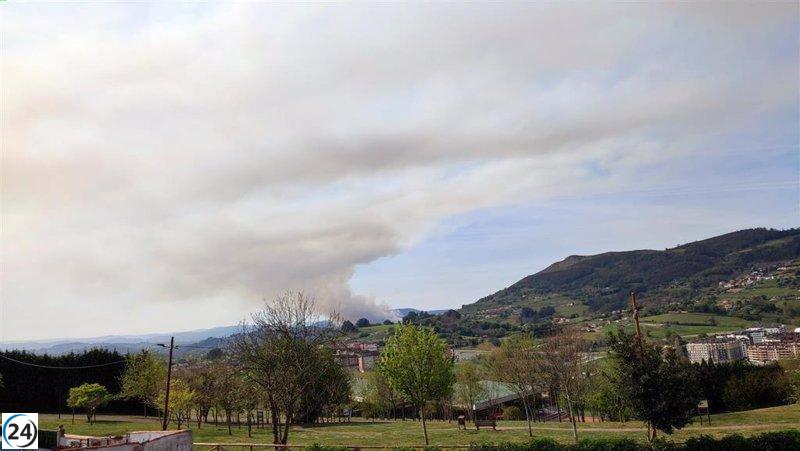 22 incendios forestales en 15 concejos de Asturias.