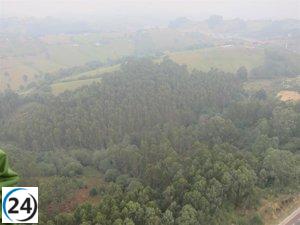 Ecologistas piden una revisión completa de la política y modelo forestal del Principado.