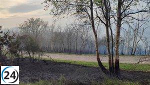 Canteli (PP) urge a Barbón a definir las ayudas por el incendio en Monte Naranco.