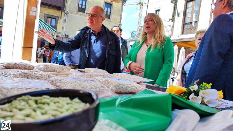 Canga (PP) defiende la preservación de las tradiciones asturianas.