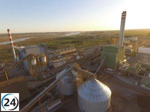 Duro Felguera Servicios firma contratos con Magnon Green Energy para plantas renovables.