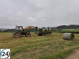 El Gobierno da una reducción mínima del 25% en el IRPF 2022 a agricultores asturianos.