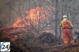 Fiscal pide prisión para ganadero por incendio en Allande.
